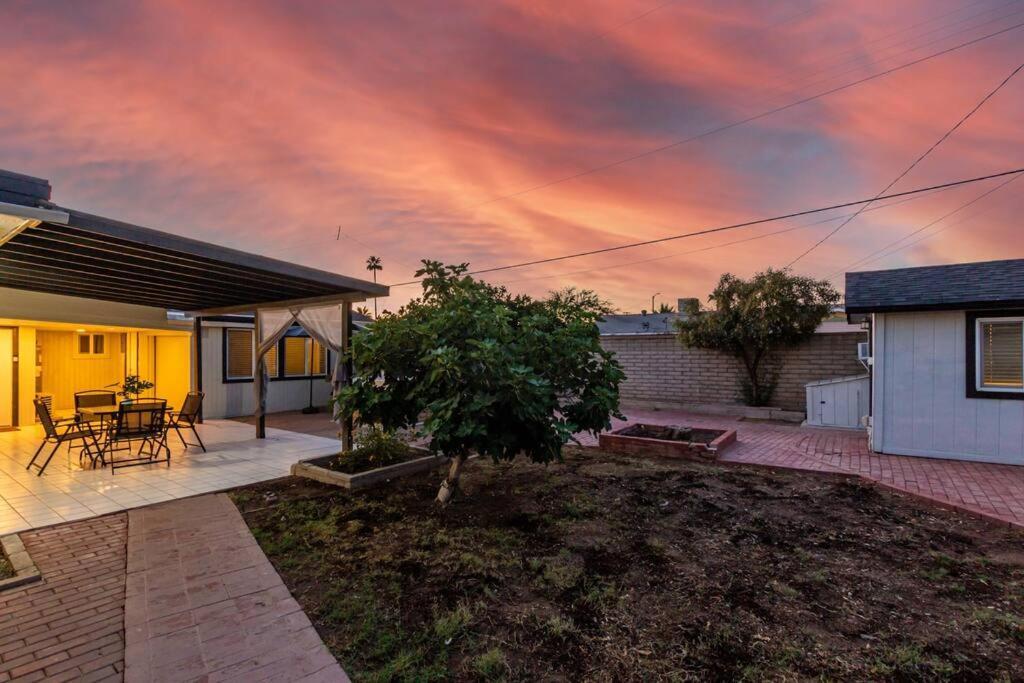 New Midtown Modern Studio With Backyard Phoenix Bagian luar foto